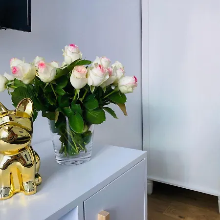 Duo 2 Debniki Апартаменты Краков